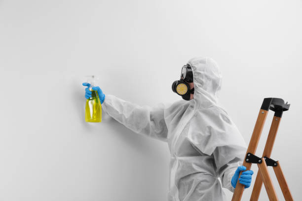 Best Black Mold Removal  in Kennedy, CA